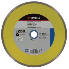Diamond disc Tivoly continuous 125x22,2mm