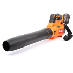 Lehepuhur 36V Robota DC-LB36V KERE